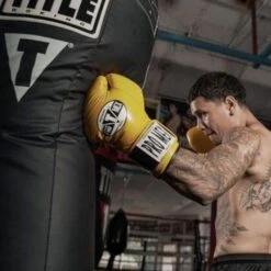 TITLE Big Bang Heavy Bag -Venum Shop big bang 3