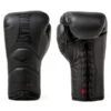 Everlast Elite 2020 Training Boxing Gloves - Lace