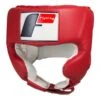 Fighting Sports Cheek Headguard