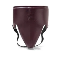 Phenom Boxing Elite GP-250 Professional Groinguard -Venum Shop phenom elite gp 250 groinguard sangria 1