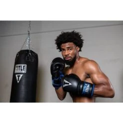 TITLE Platinum Perilous Lace Sparring Gloves -Venum Shop ppssgl 1