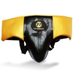 Ringside Pro Fitness Groinguard -Venum Shop pro fitness black gold