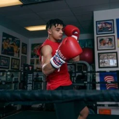 TITLE Boxing Sugar Ray Leonard Signature Leather Sparring Gloves -Venum Shop tb165 11