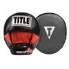 TITLE Ionic Strike Punch Mitts