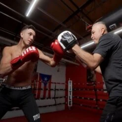 TITLE Cobra Leather Punch Mitts - White/Black -Venum Shop title cobra leather punch mitts 4