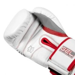 TITLE GEL Special Edition Bag Gloves -Venum Shop title gel special edition bag gloves 3