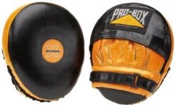 Probox Xtreme Air Focus Boxing Pads